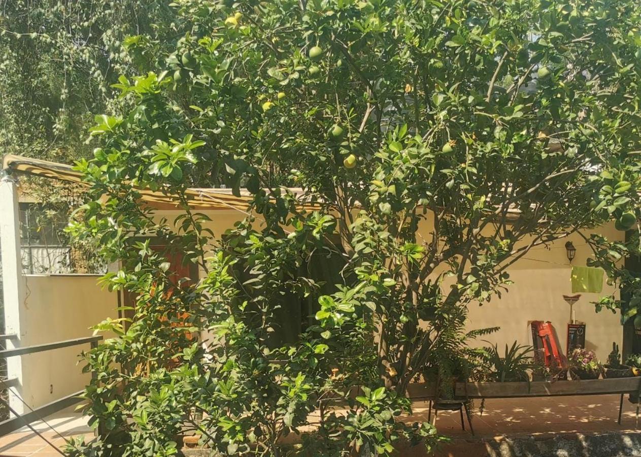 شقة Casa Momotus تيبوزتلان المظهر الخارجي الصورة